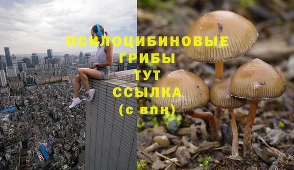 мяу мяу мука Алзамай