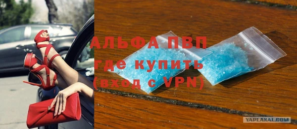 крисы Абаза