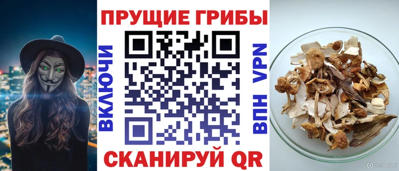 Галлюциногенные грибы Magic Shrooms  Белый 
